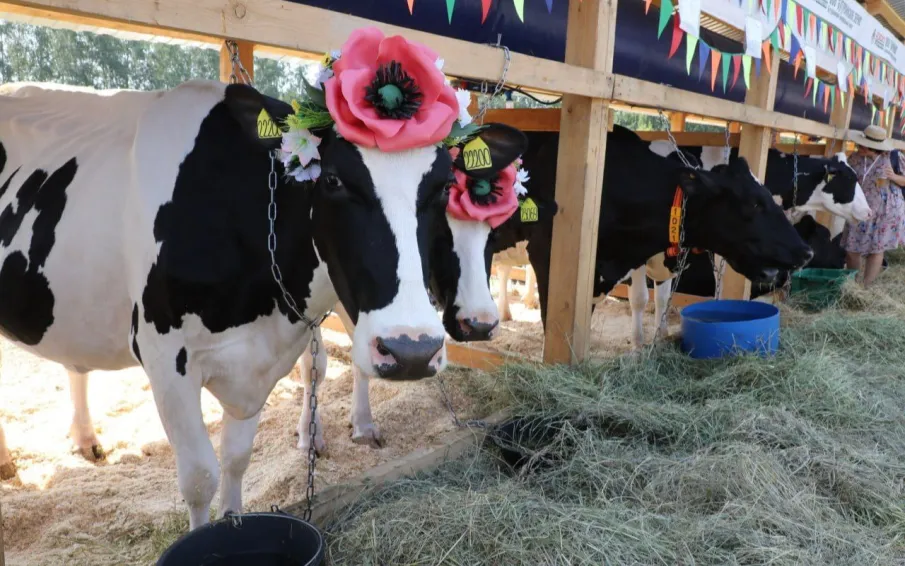 Выставка «День поля-2025» пройдет в Нижегородской области 10 и 11 июля